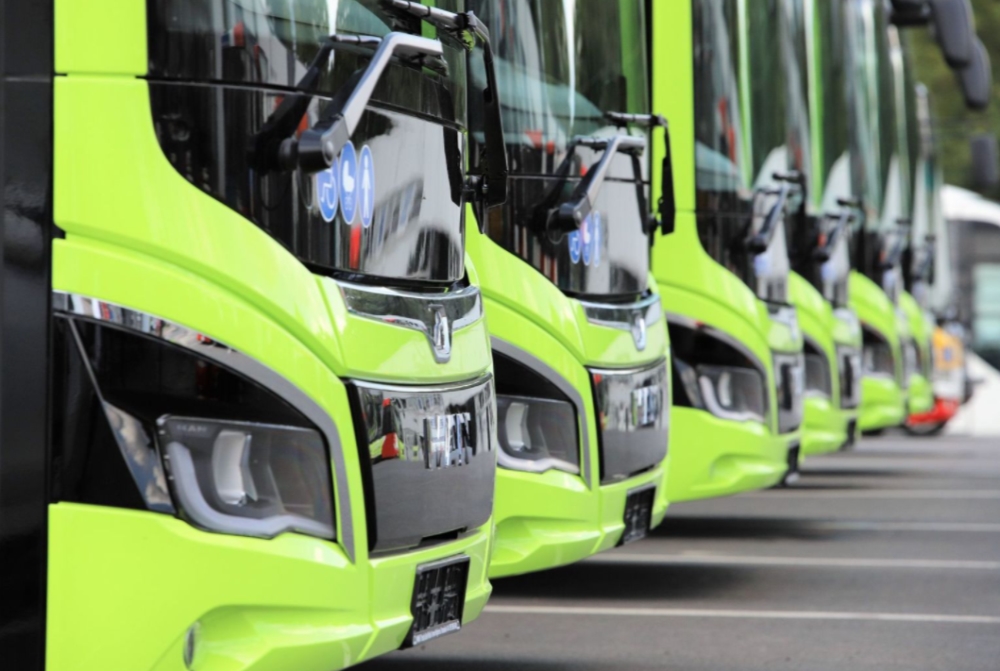 Transport miejski – autobusy i trolejbusy | FENX.03.01